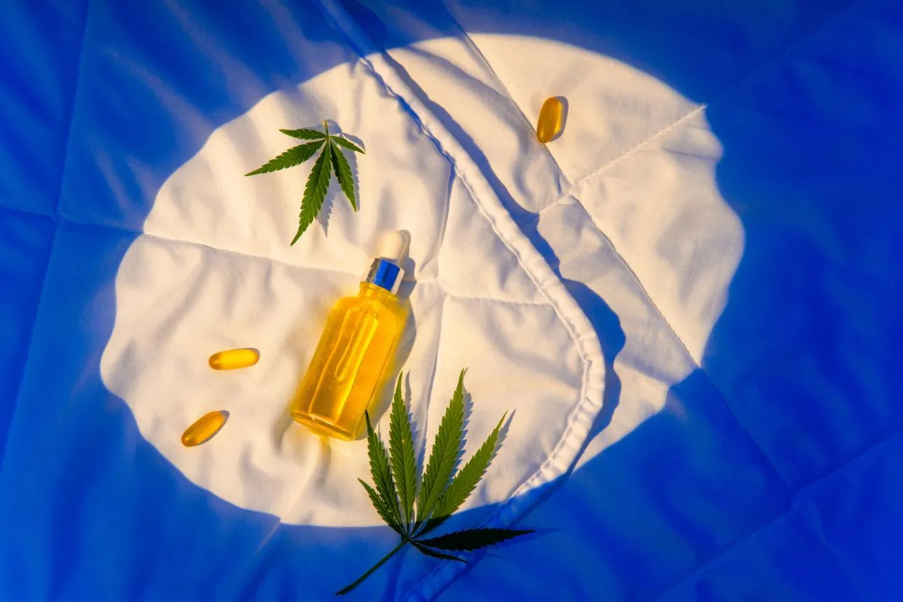 Best CBD Tinctures for Deep Sleep in 2026: Where to Buy & Save