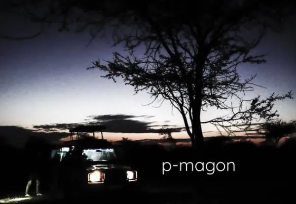 What should you look for before buying fine art photography online?