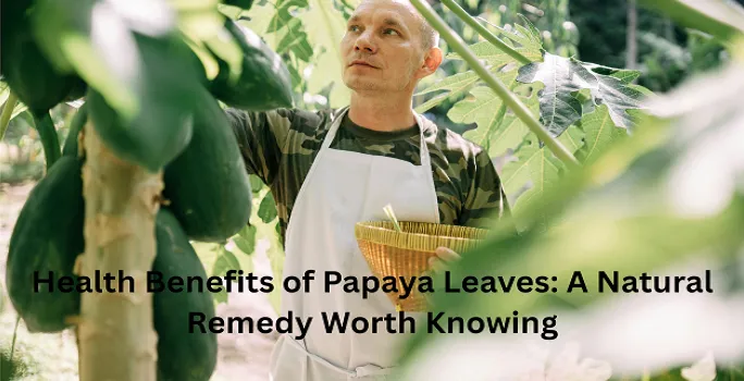 Health Benefits of Papaya Leaves: A Natural Remedy Worth Knowing