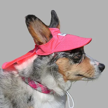 Best Dog Hair Bows for Every Breed and Occasion
