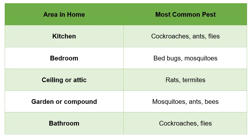 Best Pest Control services
