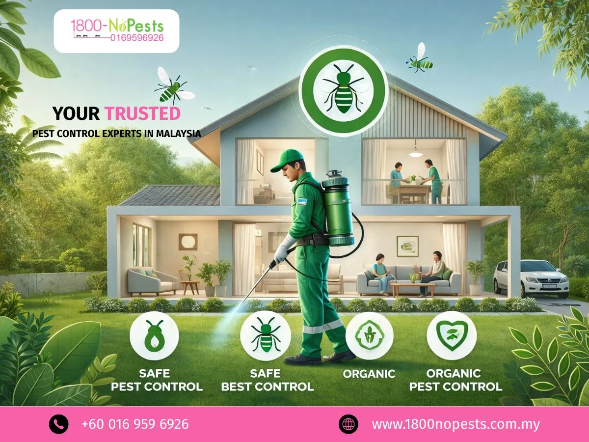 Top 10 Pest Problems in Johor Bahru Homes