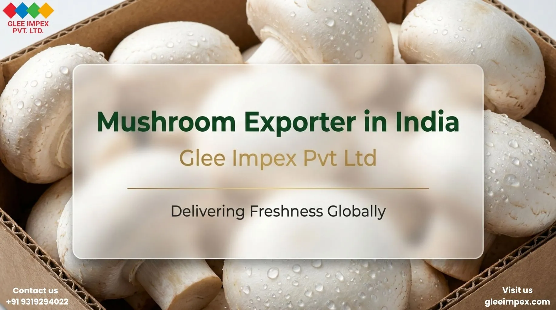 Why Choose a Mushroom Exporter in India Like Glee Impex Pvt Ltd for Global Supply?