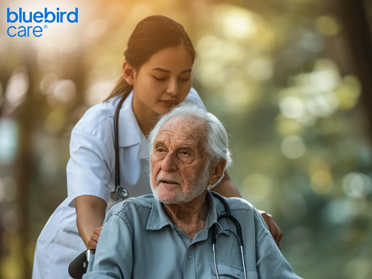 Reliable Elderly Care Providers in Barnet: Trusted Support and Care Services