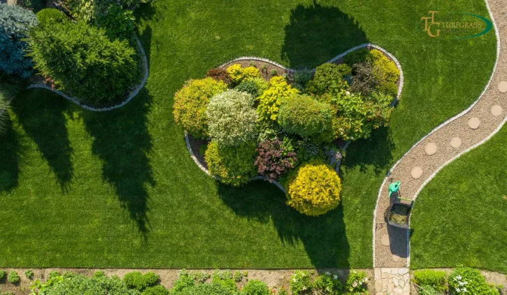Navigating BC Climate Trends for a Resilient Green Lawn