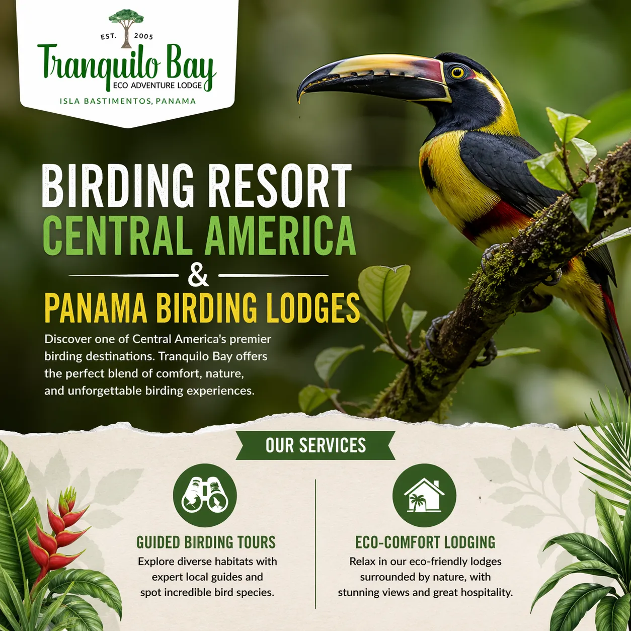 Tranquilo Bay: A Leading Birding Resort in Central America and One of the Best Panama Birding Lodges