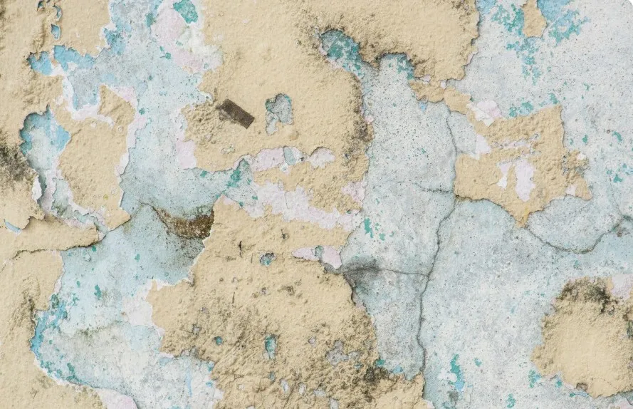 Modern Wall Decor Trends: The Growing Appeal of Plaster Texture Art