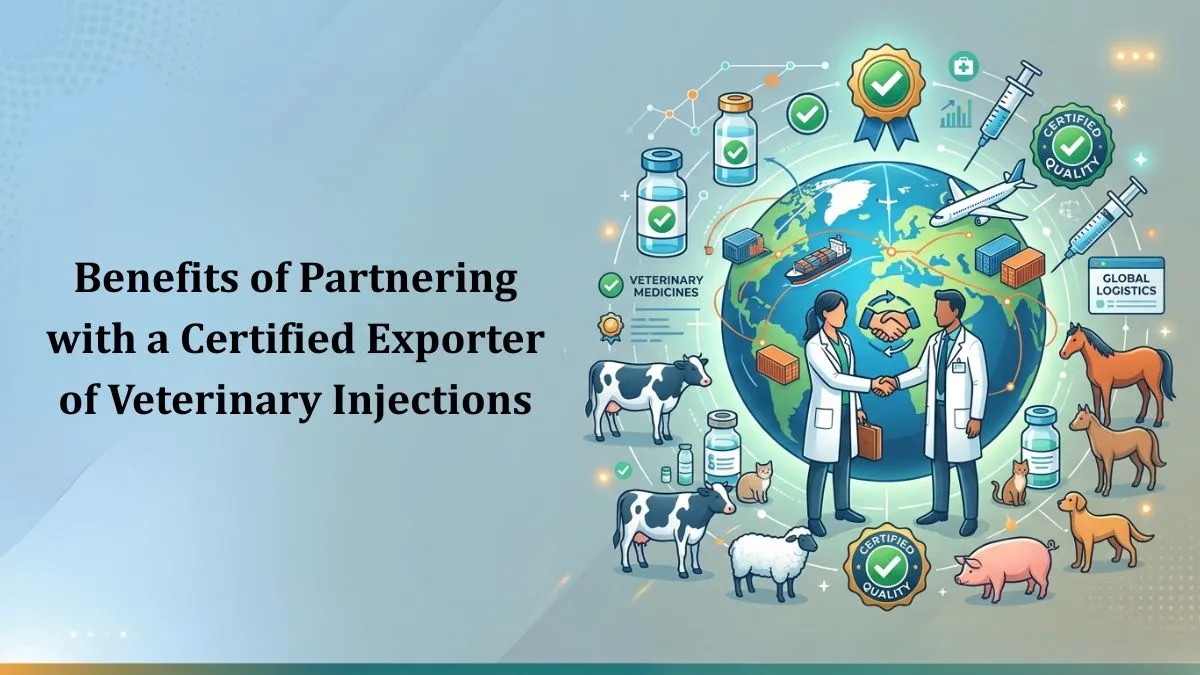 Benefits of Partnering with a Certified Exporter of Veterinary Injections