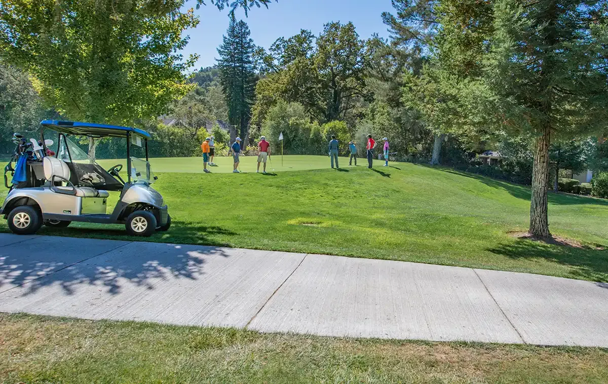 What to Look for When Buying a Used Golf Cart