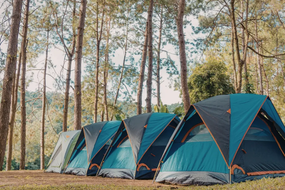Why a Vehicle Awning Is the One Accessory Every Outdoor South African Needs