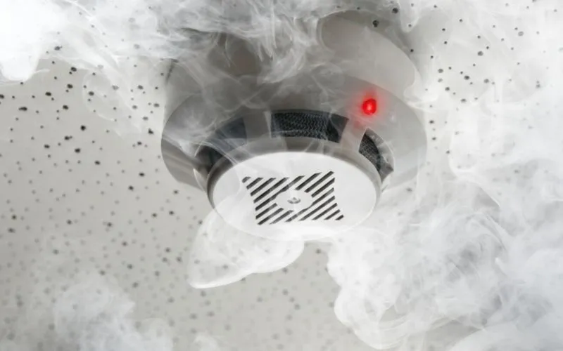 What Happens If You’re Inside When a Fog Security System Goes Off?