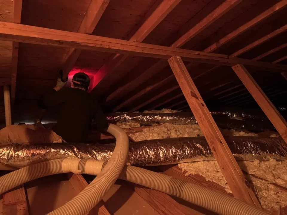 Energy Saving Insulation for Homes and Buildings in Georgia Sees a Surge with Vapor Barriers Offered by Top Companies