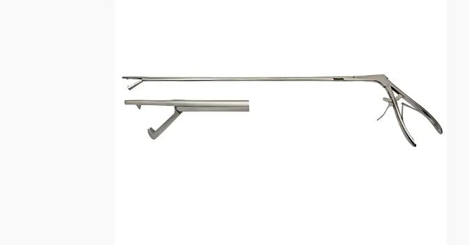 Why an Equine Speculum Light Is Essential for Accurate Horse Dental Examinations
