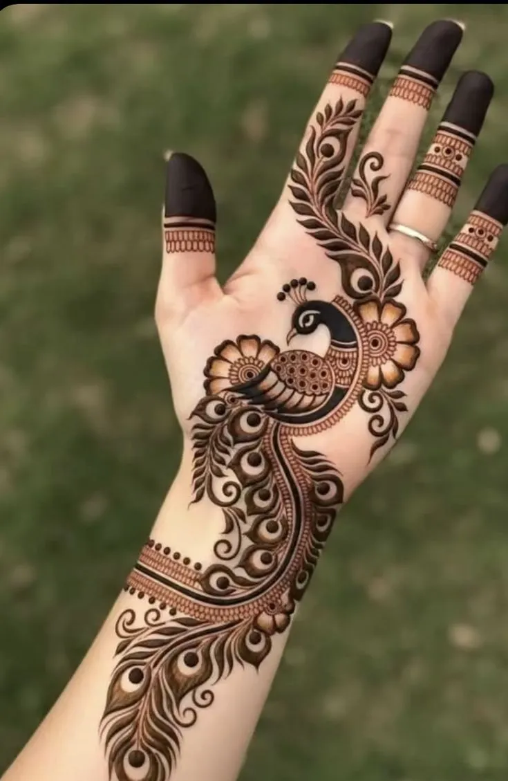 Peacock Arabic Design
