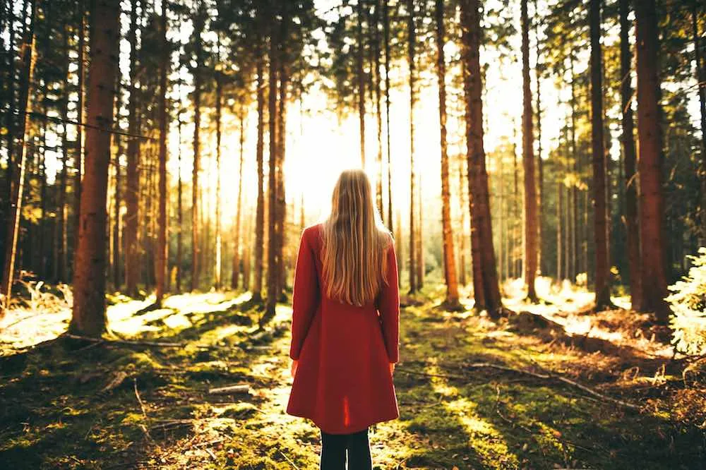 Is Integrating the Shadow the Secret to Your Awakening?