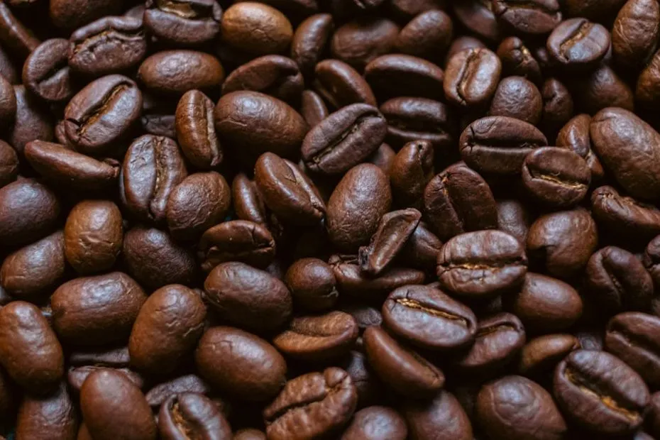 What Makes South African Coffee Beans Stand Out From the Rest