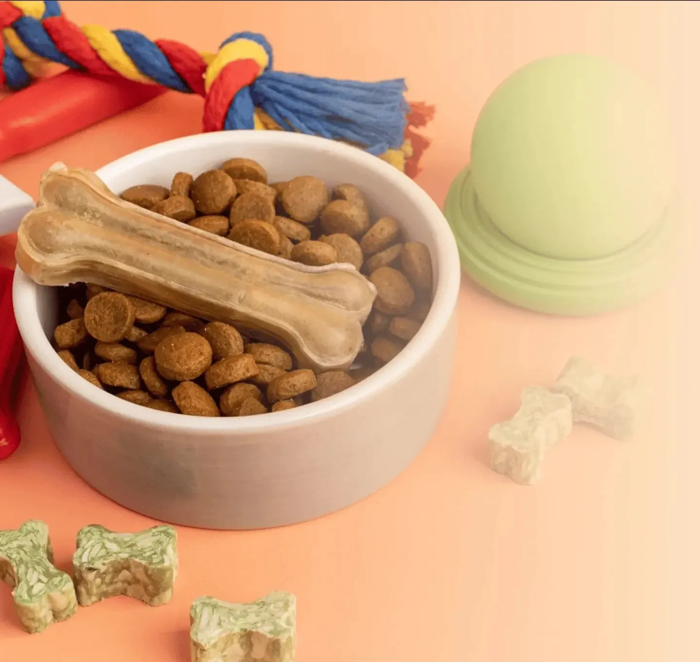 How On-Demand Pet Services Are Changing Urban Pet Care in India