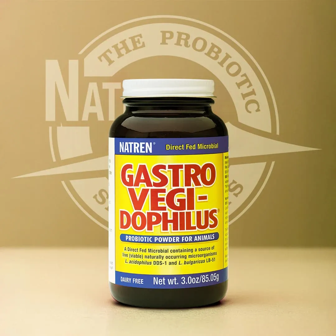 Pet Microbiome Health: What Owners Need to Know