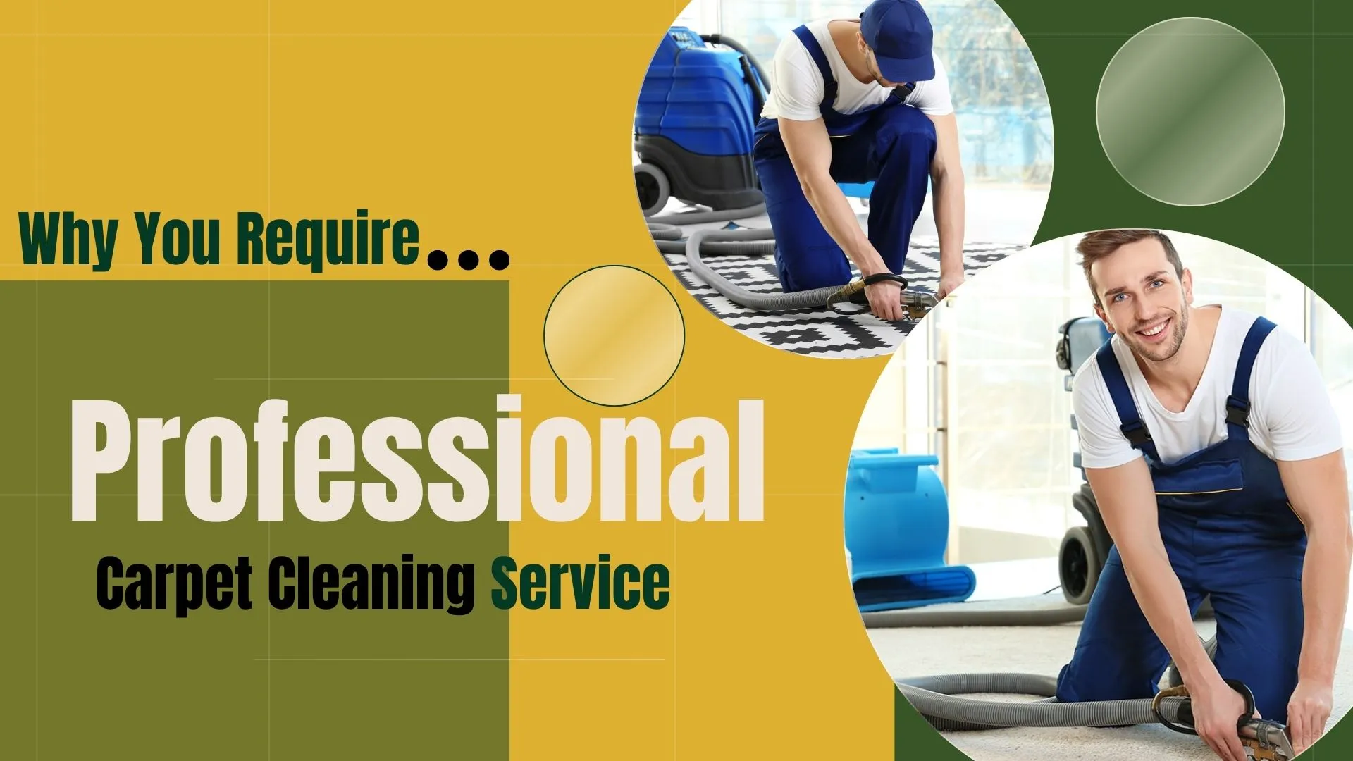 Why You Require a Professional Carpet Cleaning Service