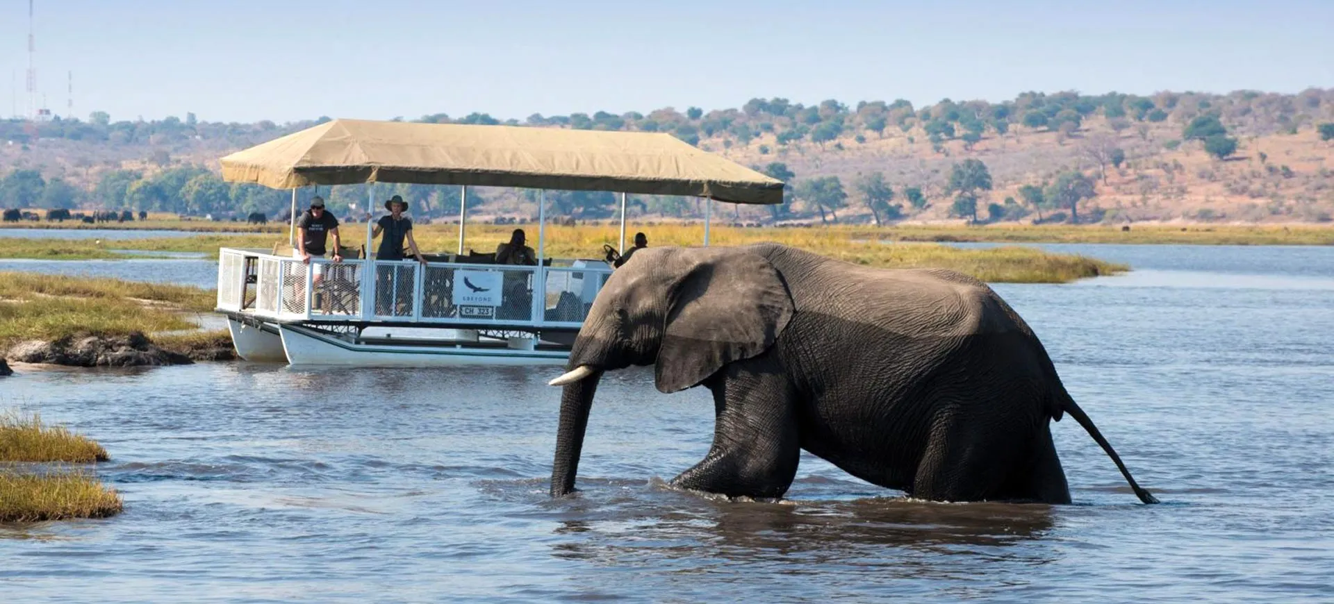 Luxury Botswana Safari Packages for Unforgettable Wildlife Adventures