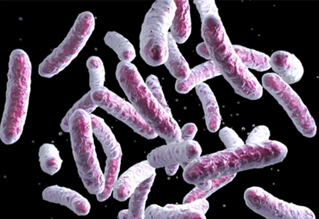 16s/18s/ITS Sequencing CapitalBiotech