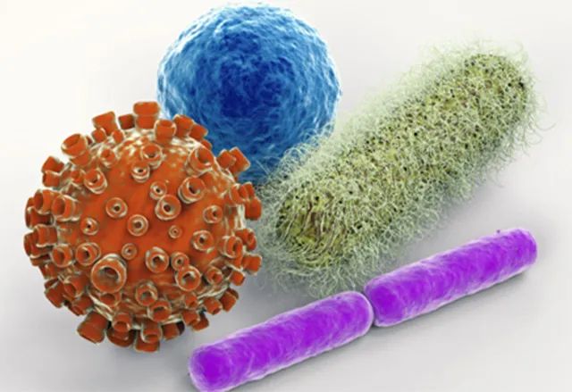 Unveiling the Microbial World: The Power of Whole Genome Shotgun Metagenomics
