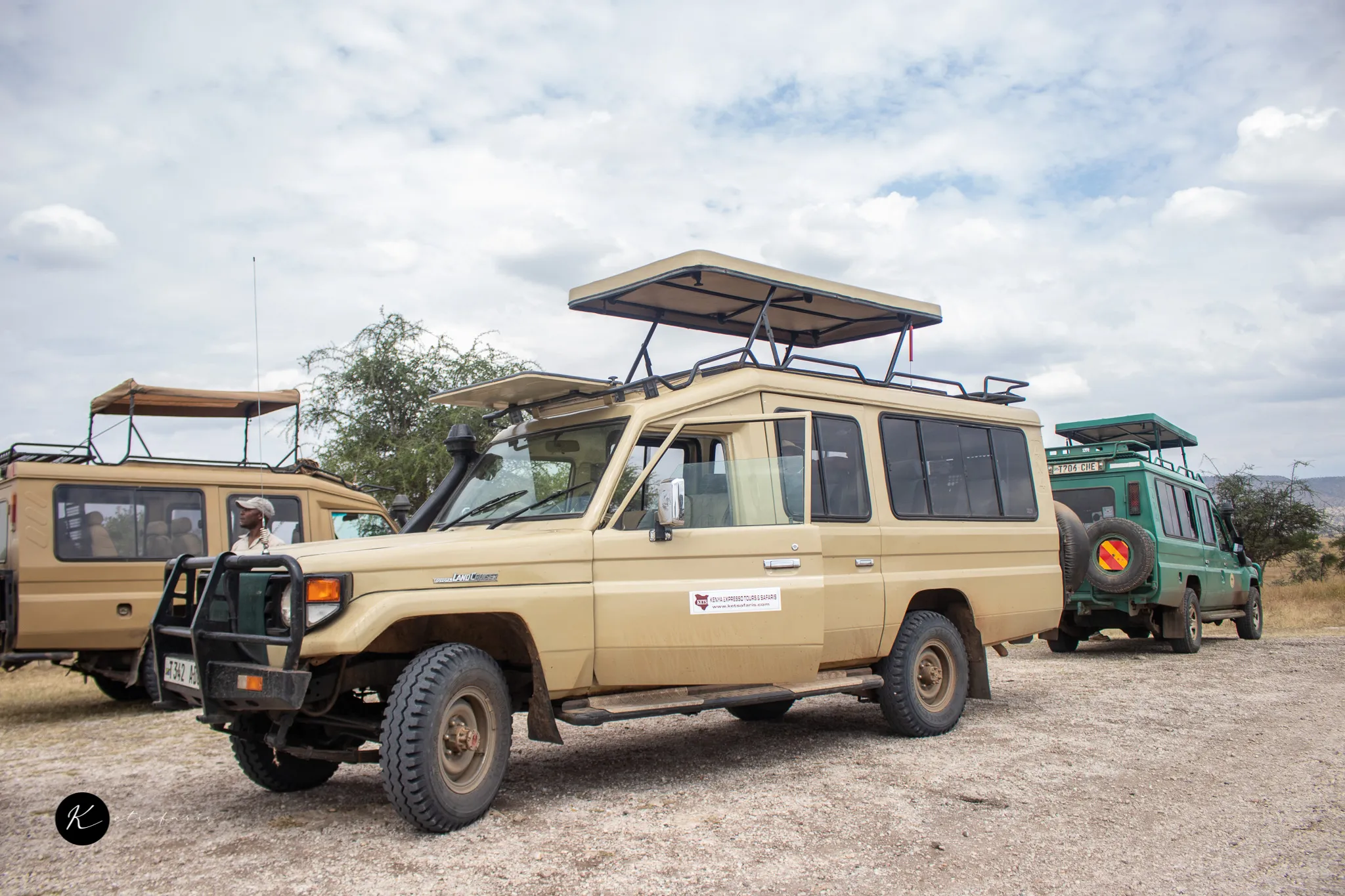 When to Plan Safari Trips in Kenya: Seasonal Guide for Wildlife and Weather