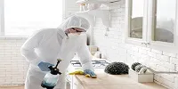 Common Pests Found in North Brisbane Homes (And How to Handle Them)