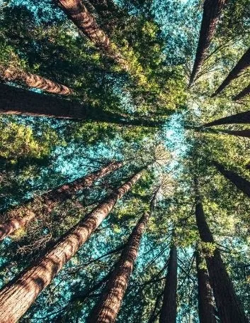 UK Family Tree Search – Find Your Ancestry