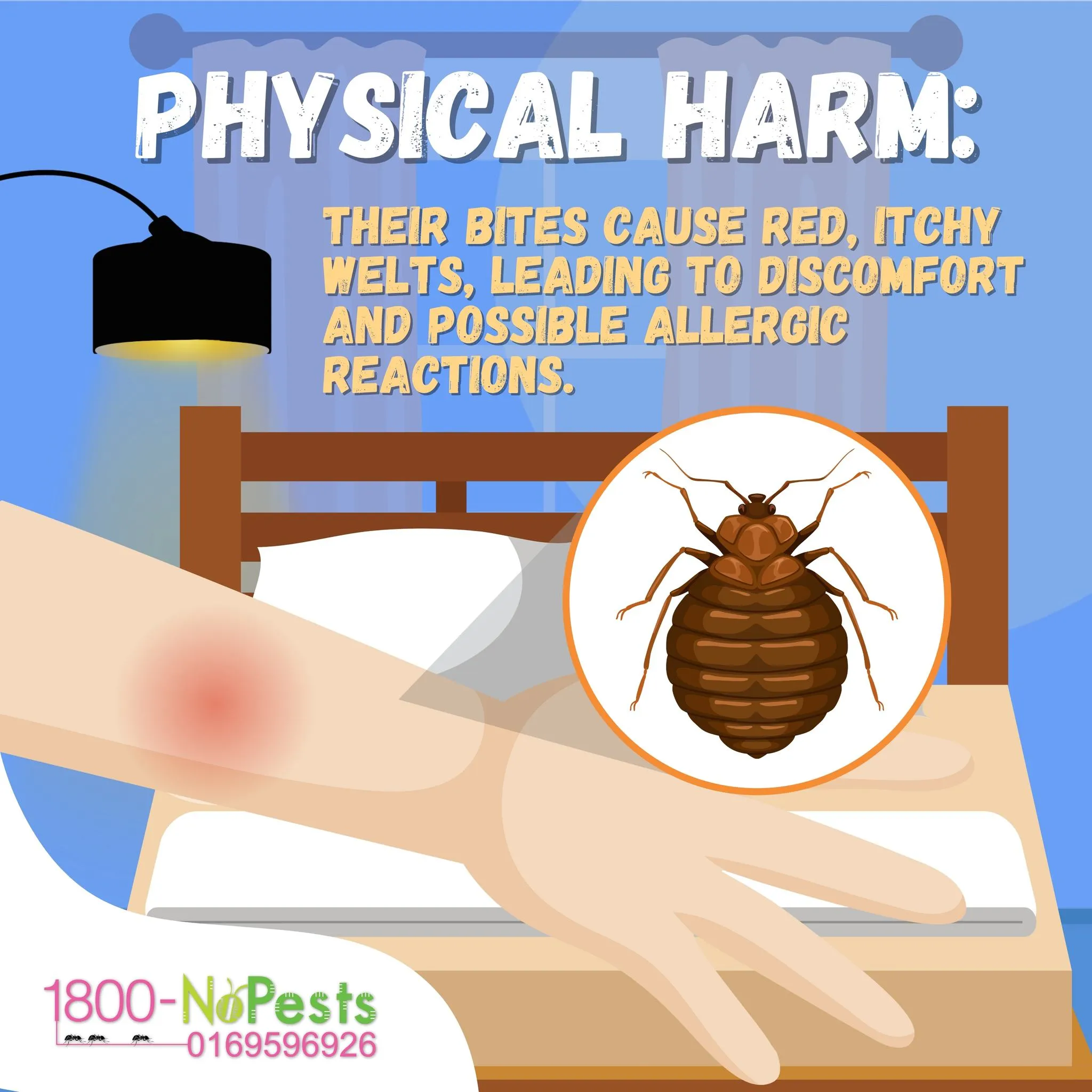 bed bugs treatment