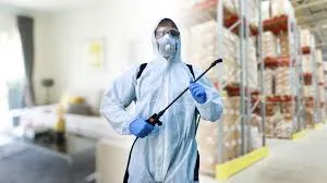 Pure Protection, Greener Living: The Hidden Power of ECO Pest Control for a Healthier Home