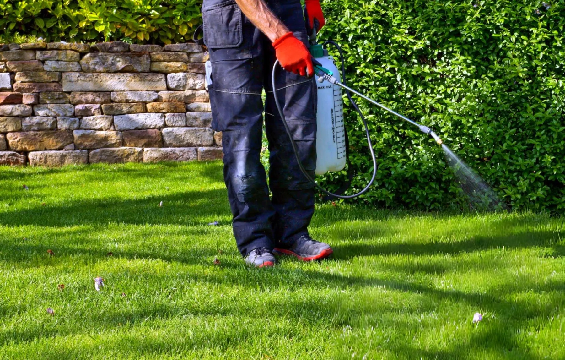 Commercial Landscaping Maintenance Engineering Structural Resilience and Strategic Architectural Enhancement