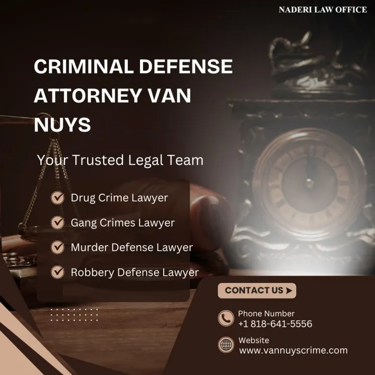 Why Hiring a Criminal Defense Attorney Van Nuys?