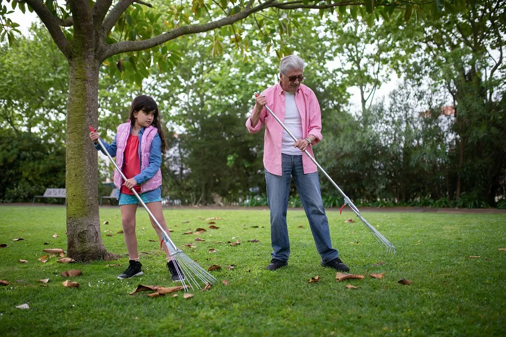 Spring &amp; Fall Yard Clean-Up Calgary: Prepare Your Yard for Every Season