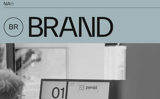 Best Graphic Designers in New Zealand You Can Hire in 2026