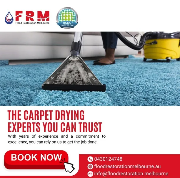 Wet Carpet Drying Melbourne: What to Do After Water Damage