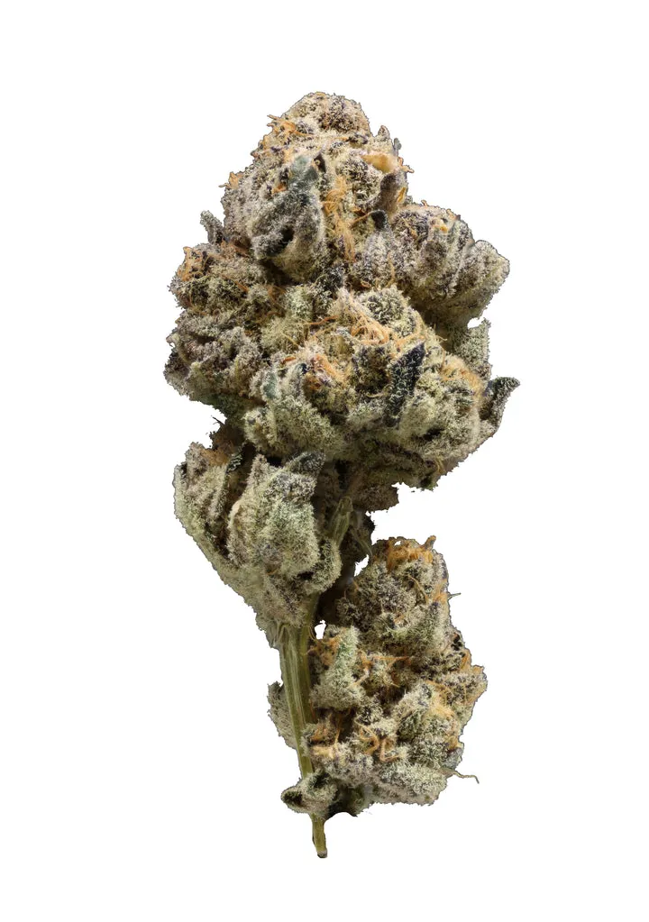 How Long Does THCA Flower Stay Fresh After Buying?