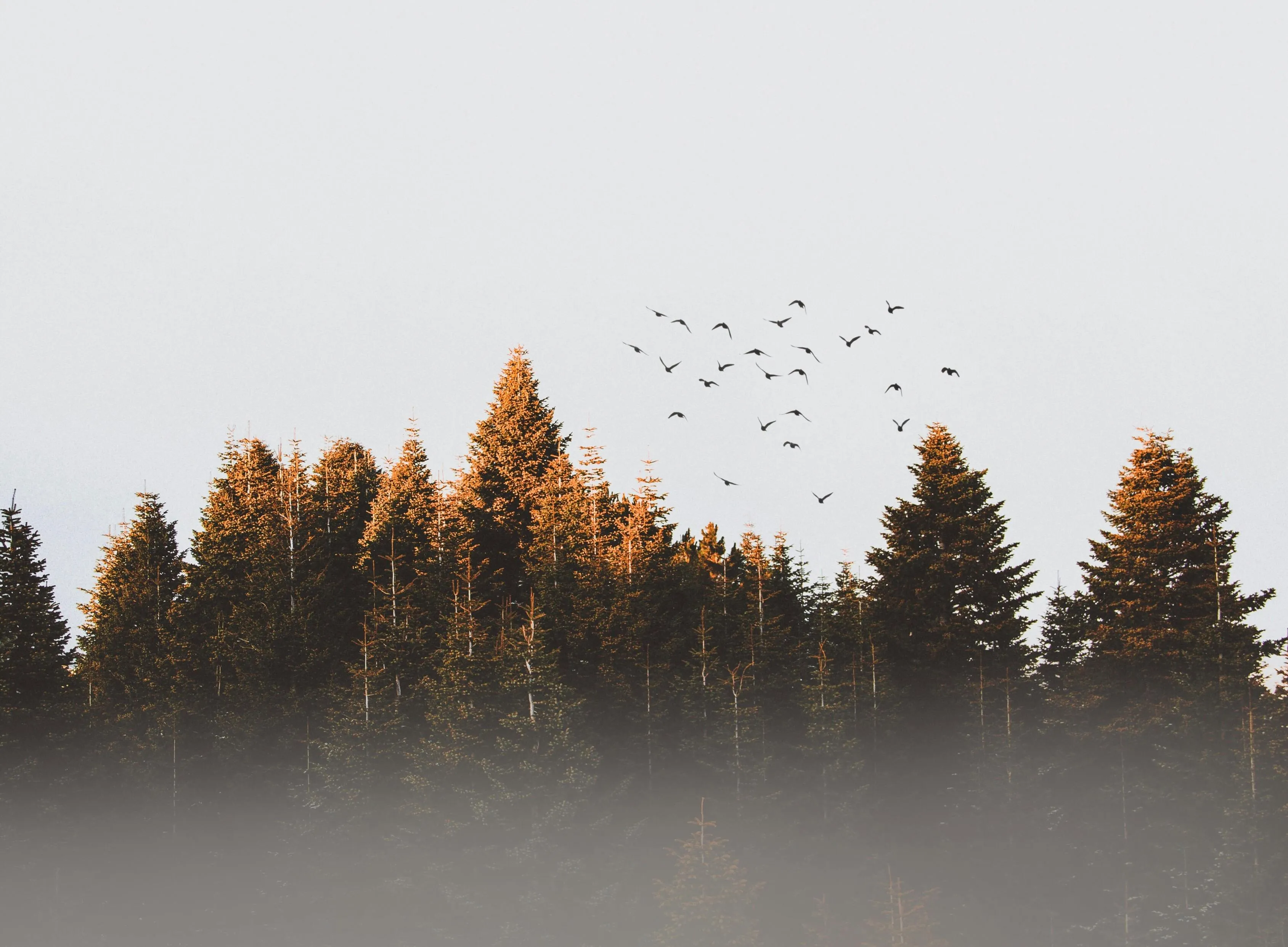 Uncertainty as a Driver of Creative Thinking