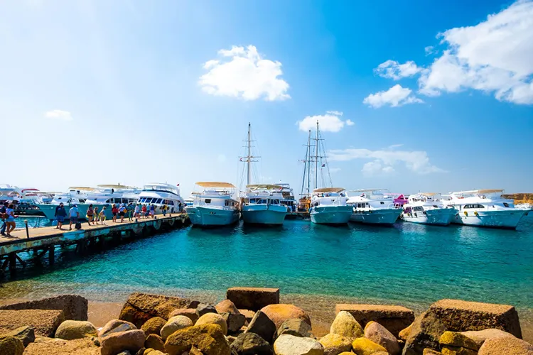 How Much Does Deep Sea Fishing Cost in Queensland?