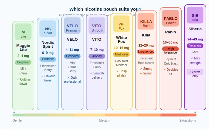 Which Nicotine Pouch Is Best for Me? The Complete UK Buyers Guide (2026)