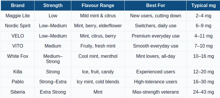 Which Nicotine Pouch Is Best for Me? The Complete UK Buyers Guide (2026)