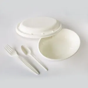 How Sugarcane Round Bowl Supports a Greener Planet?
