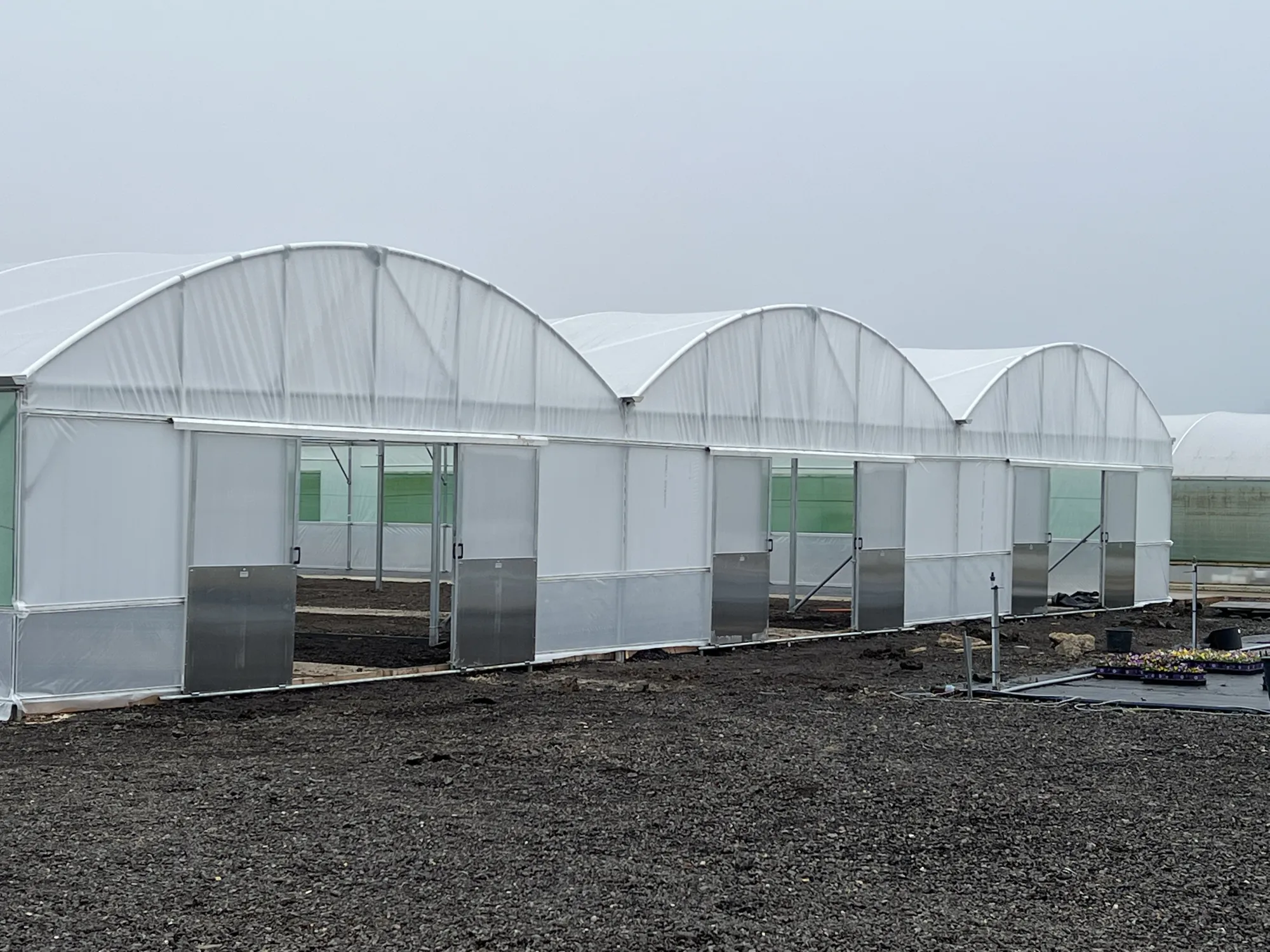 Expert Polytunnel Services