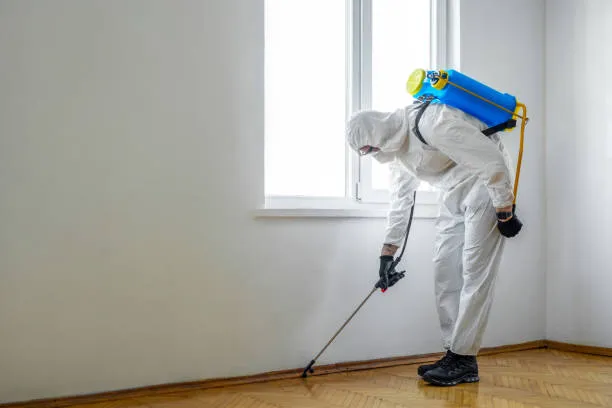 How Fast Can Emergency Pest Control Solve Infestations? A Complete Guide