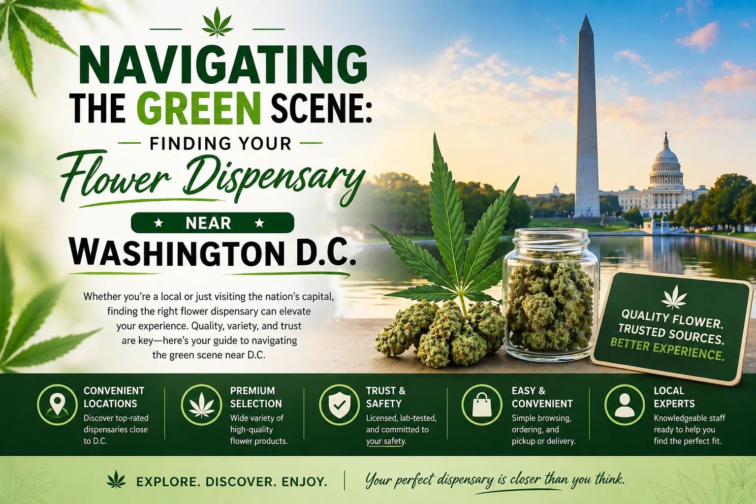 Navigating the Green Scene: Finding Your Flower Dispensary Near Washington D.C.