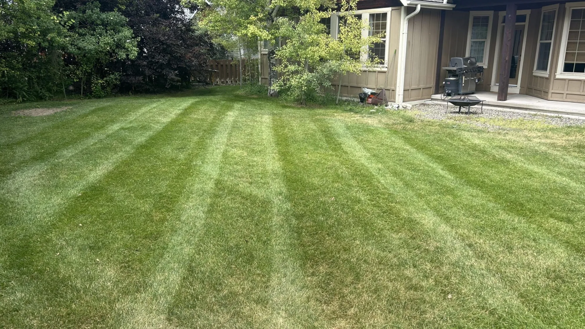 Belgrade Landscaping Services That Hold Up Season After Season