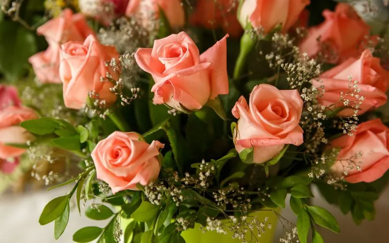 Professional Florist Secrets to Keeping Flowers Fresh for Days
