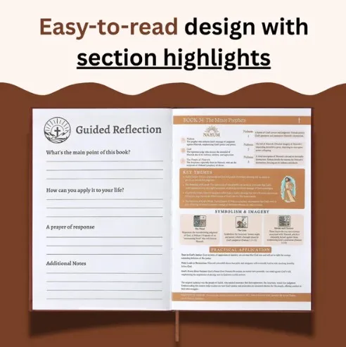 Best Bible Study Guide for Beginners: A Simple Way to Understand All 66 Books