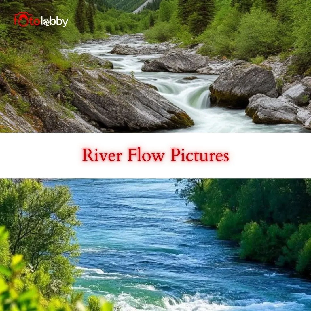 Beauty That Moves: River Flow Pictures That Feel Timeless and Free