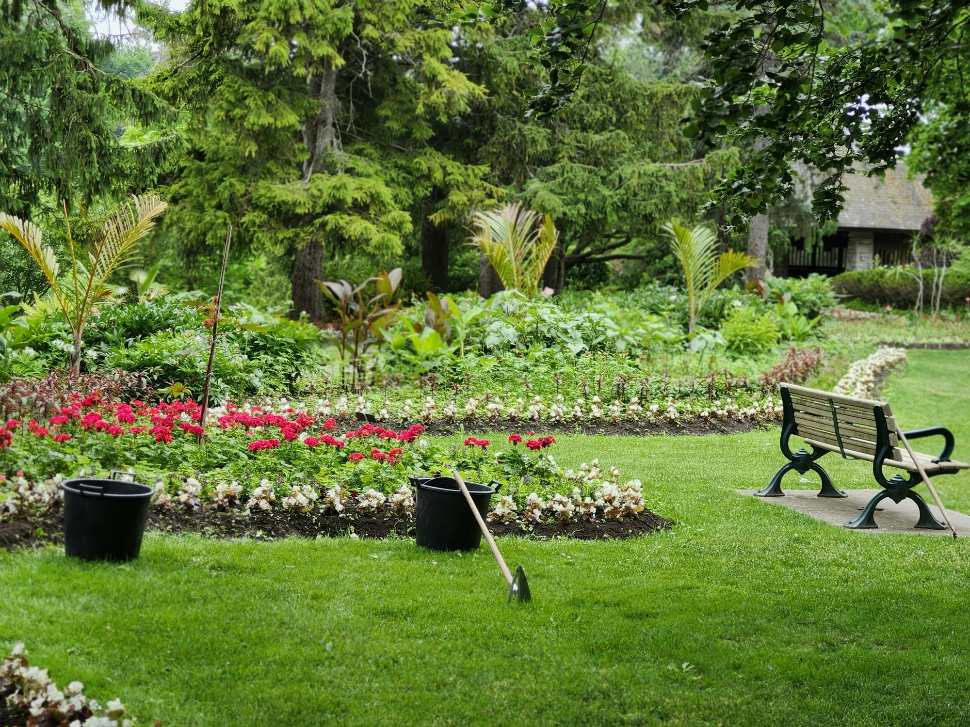 Smart Landscaping Ideas for Sydney Homes: Maximising Space and Creating Outdoor Living Areas